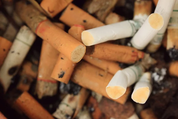 Muito cigarro descartado — Fotografia de Stock