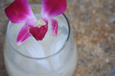 lezzetli taze hindistan cevizi içki