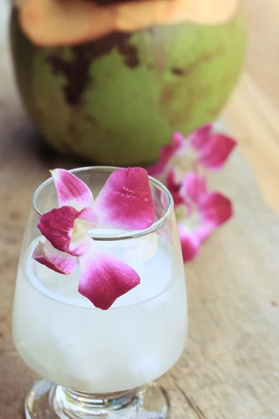 Savoureuse boisson fraîche de noix de coco — Photo