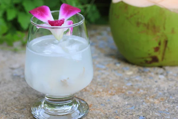 맛 있는 신선한 코코넛 음료 — 스톡 사진