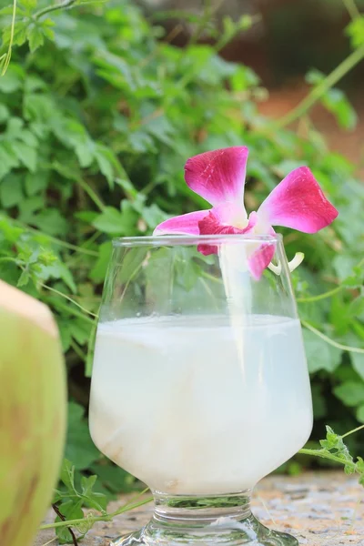 Savoureuse boisson fraîche de noix de coco — Photo