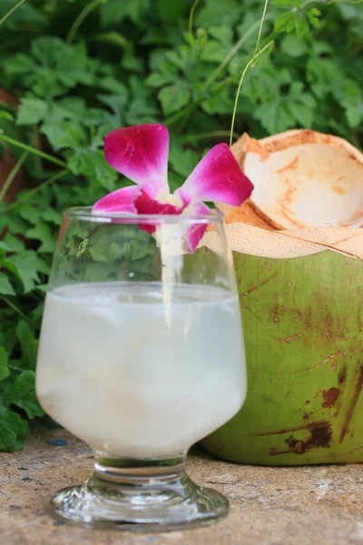 Leckeres frisches Kokosgetränk — Stockfoto