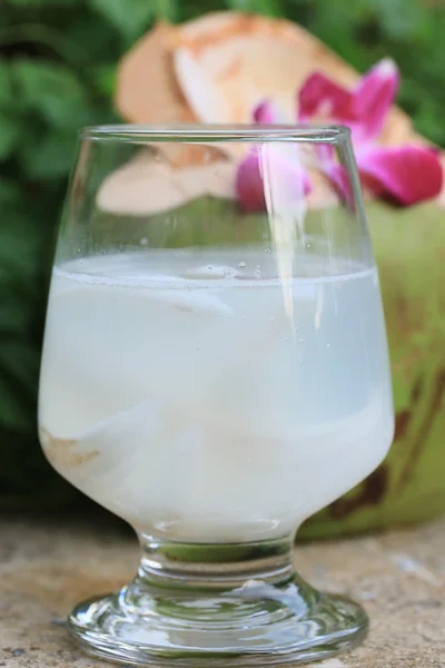 Lekkere verse kokosnoot drink — Stockfoto