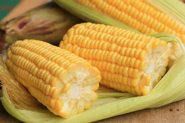 Corn and dried seeds — Stock Photo, Image