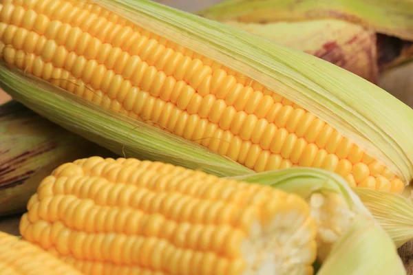玉米和干的种子 — 图库照片