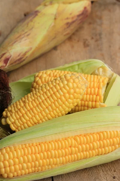 Corn and dried seeds — Stock Photo, Image