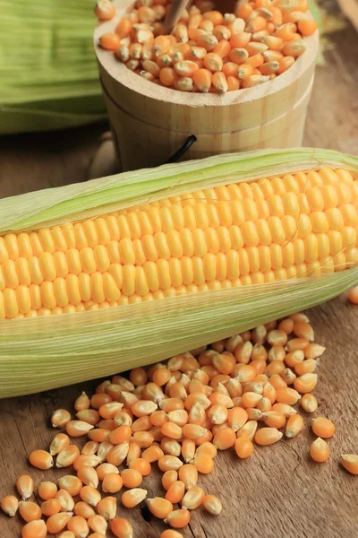 Corn and dried seeds — Stock Photo, Image