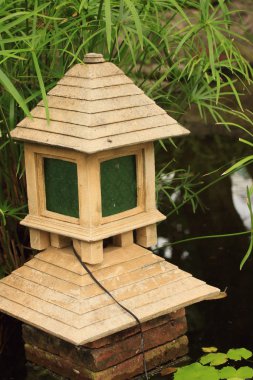 İngiliz rock Bahçe hurma