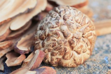 Kurutulmuş Ganoderma Lucidium ile