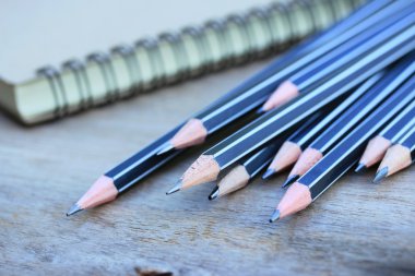 siyah kalem ve kitap