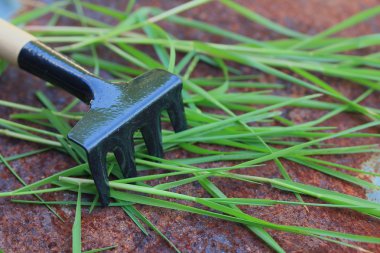 Bahçe araç doğada