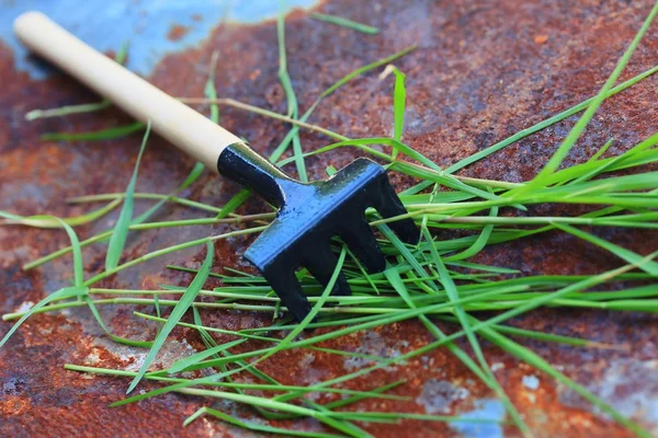 Ferramenta de jardinagem na natureza — Fotografia de Stock