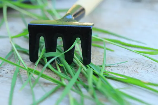 Trädgårdsskötsel verktyg i naturen — Stockfoto