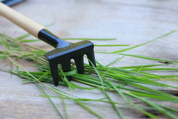 Herramienta de jardinería en la naturaleza — Foto de Stock