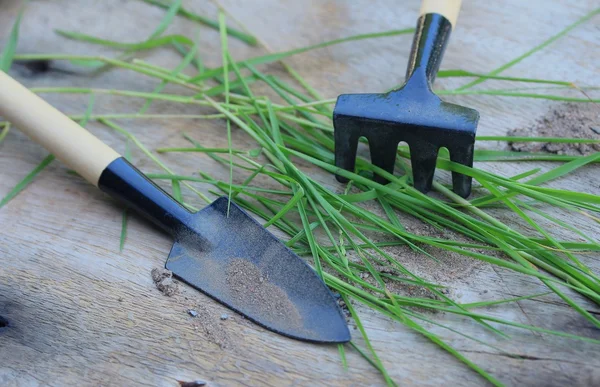 Trädgårdsskötsel verktyg i naturen — Stockfoto