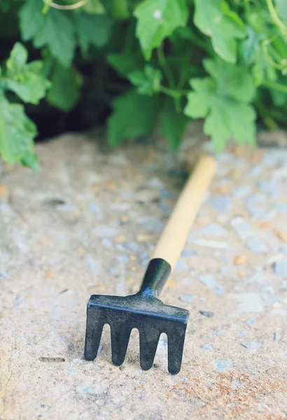 Trädgårdsskötsel verktyg i naturen — Stockfoto