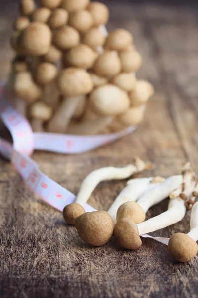 Fresh mushrooms on the wooden — Stock Photo, Image