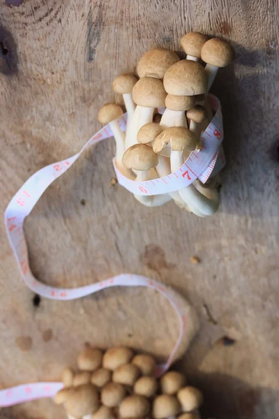 Funghi freschi sul legno — Foto Stock