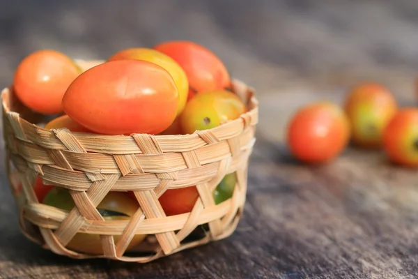 Mycket färska tomater — Stockfoto