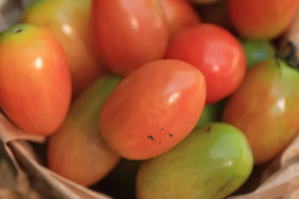 Muitos tomates frescos — Fotografia de Stock