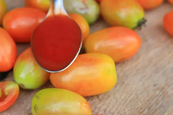 Tomatsås med färsk — Stockfoto