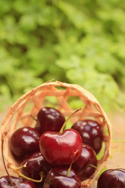 Sweet taste fresh cherries — Stock Photo, Image