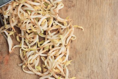 fasulye filizi ve tohum