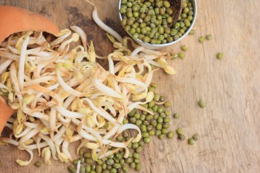 fasulye filizi ve tohum