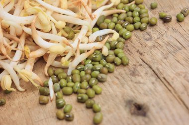 fasulye filizi ve tohum