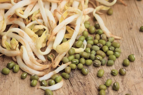 bean sprouts and seed