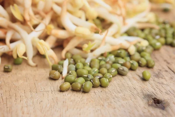 bean sprouts and seed