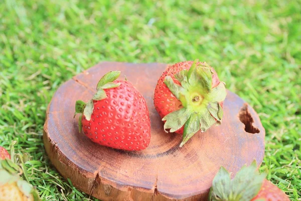 Fresh strawberry on green grass — Stock Photo, Image