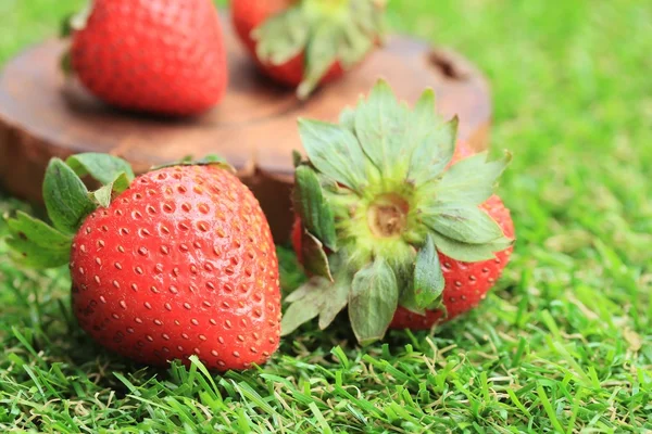 Fresh strawberry on green grass — Stock Photo, Image