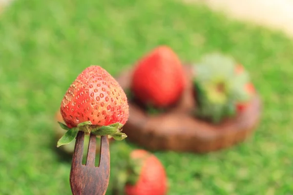 Fresa fresca sobre hierba verde — Foto de Stock