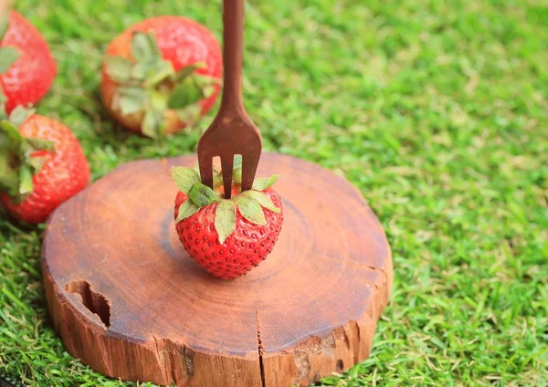 Frische Erdbeere auf grünem Gras — Stockfoto
