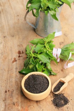 taze fesleğen tohumu