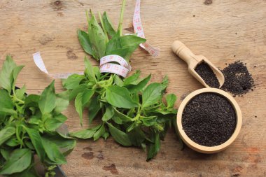 taze fesleğen tohumu