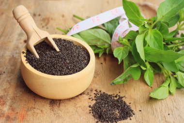 taze fesleğen tohumu