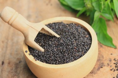 taze fesleğen tohumu