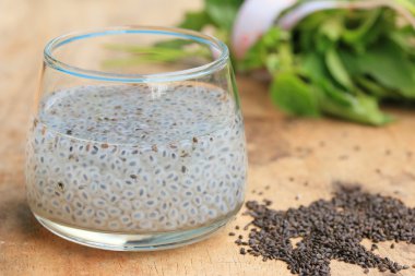 taze fesleğen tohumu