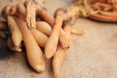 taze fingerroot ve dilim 