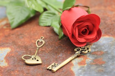 Antik eski anahtar ve gül