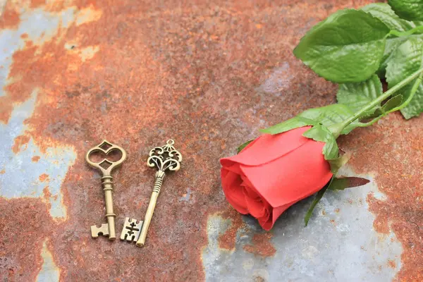 Ősi régi kulcs és Rózsa — Stock Fotó