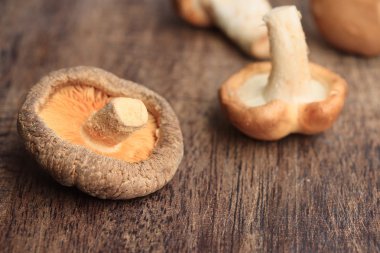 ahşap üzerinde taze mantar