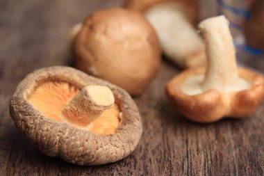 ahşap üzerinde taze mantar