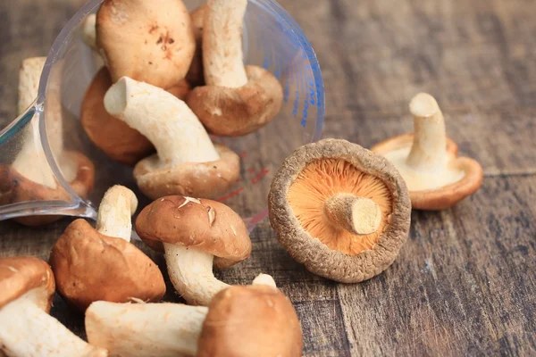 Fresh mushrooms on wooden — Stock Photo, Image