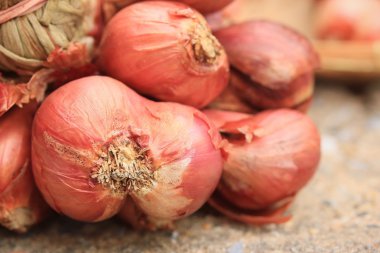 Çok kırmızı soğan