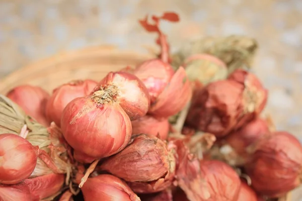 많은 빨간 shallots — 스톡 사진