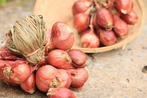 많은 빨간 shallots — 스톡 사진