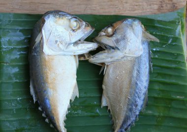  ahşap üzerinde taze uskumru